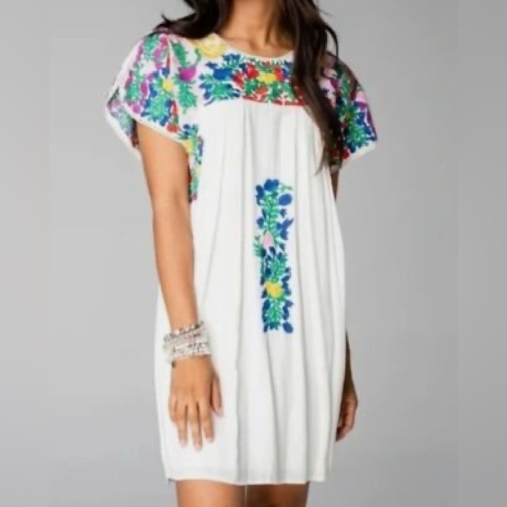Buddy Love Mexican embroidered dress.